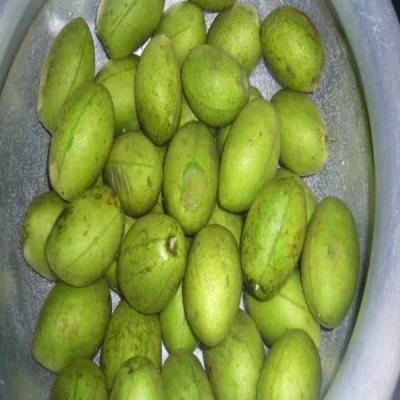 Olive - জলপাই