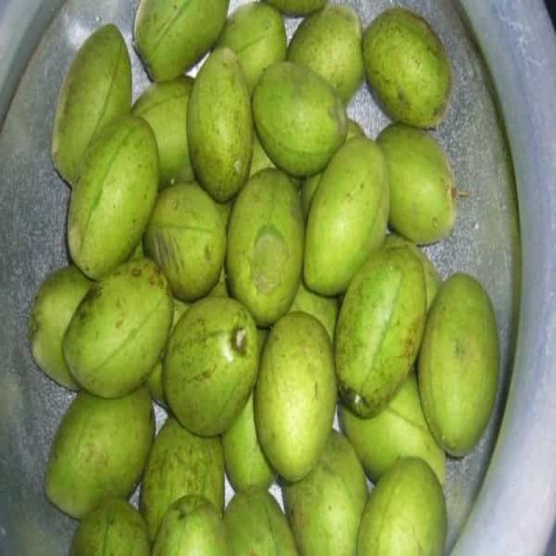 Olive - জলপাই