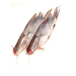 Ayer Fish (1-1.999) Kg/Pc