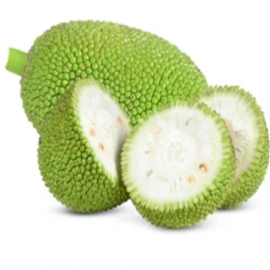 Jack Fruit Raw [green] Bulk